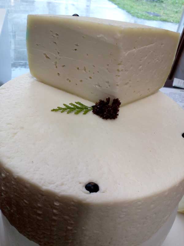 Fior di Capra — Tenero formaggio di capra - immagine