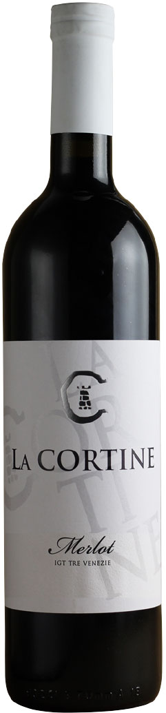 CABERNET SAUVIGNON — Alcol: 12,5 % - Vino Rosso