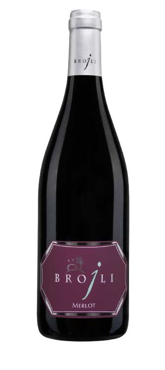 MERLOT – Doc Friuli — Alcol: 12,5 % - Vino Rosso - immagine